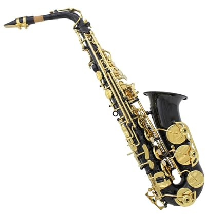 Saxophone für Musikliebhaber Es Altsaxophon für Anfänger und Erwachsene