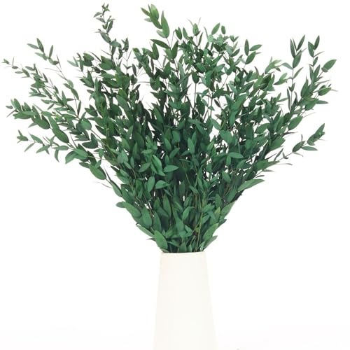 Dried Eucalyptus Leaves Stems, 17 Greenery for Wedding & Bathroom Decor | Preserved Real Plants Branches, Wedding Wreath Supply, SPA Decor, Home Fragrance, Vase Filler, Party Centerpiece, Dry Floral