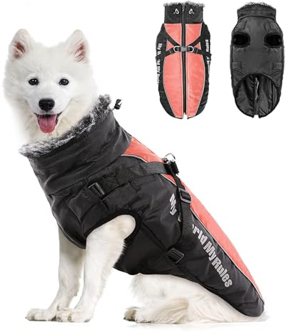 PETCUTE Wasserdichter Hundemantel für kleine Hunde,Reflektierende,Verstellbar,Winter Hundejacke mit Geschirr,Winddichte Haustierkleidung Outfit für kleine mittelgroße Hunde,5XL