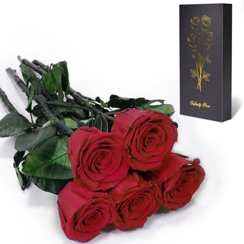 Yamonic Ewige Rose Geschenke für Frauen,Infinity Rose mit Stiel Geburtstagsgeschenk für Frauen,Echte Rose in Geschenkbox Geschenke für Mama,Konservierte Blume zum Weihnachten, Deko Geschenk, 5 Rosen