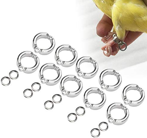 10 Stück Vogel Fußringe Metall Vogel Klemmringe Papagei Beinring Fußring für Papageien Vögel Wachtel Tauben Papageien(#7)