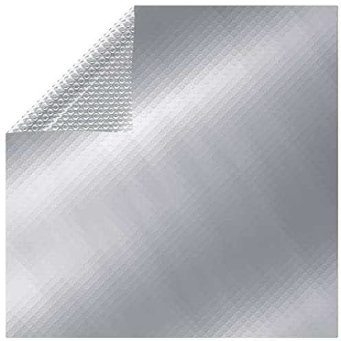 LIFTRR Maison et jardin avec bâche de piscine Argent 732 x 366 cm PE
