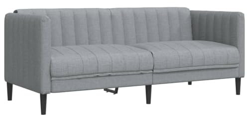 vidaXL Sofa 2-Sitzer, Couch mit Armlehnen Rückenlehne Stützbeine, Loungesofa für Wohnzimmer, Polstersofa Sofagarnitur, Modern, Hellgrau Stoff