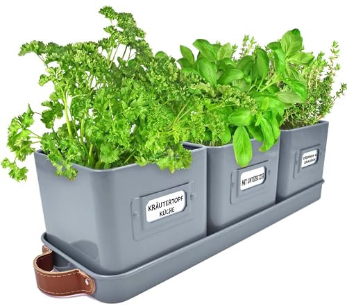 Green Thumbz Vasi per Piante da Interno - Set Sottovaso e 3 Vasi Color Antracite (10,5 x 10,5cm) - Pratico ed Elegante Kit Erbe Aromatiche da Interno per Piantine Decorative per Casa o Ufficio