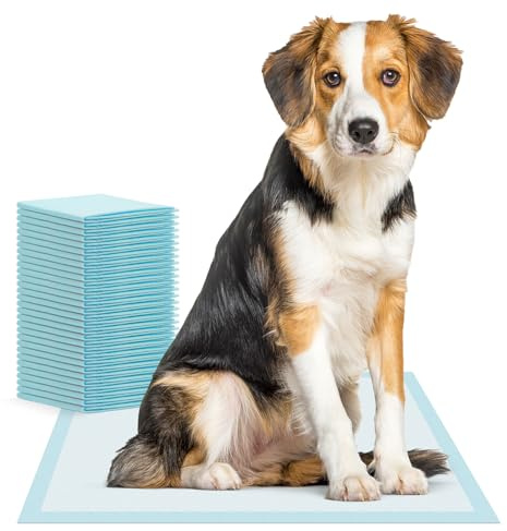 125x ARNOMED® Welpen Unterlagen 60x90cm, Saugfähige Pipi Matten Hunde | Puppy & Dog Pads, Trainigspad 5-lagig, Inkontinenzunterlagen Hund & Welpen, Hundeunterlagen Pipi, Matten Auslaufsicher