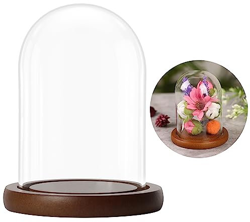 BELLE VOUS Campana in vetro con base marrone in legno, 9,4 cm di altezza, mini campana in vetro trasparente per luci, piante, decorazione da tavolo