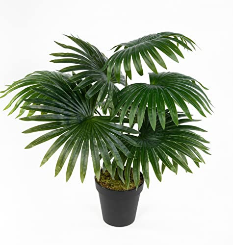 Seidenblumen Roß Fächerpalme Real Touch 40/50cm im Topf ZJ Kunstpflanze künstliche Palme Dekopalme Pflanze