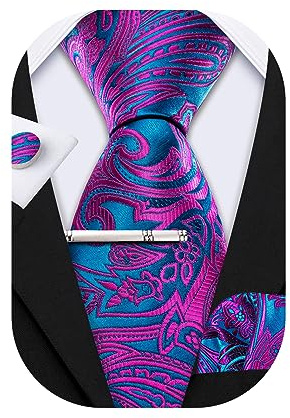 Barry.Wang Mens Tie Paisley Plaid Striped Floral Silky Necktie Pocket Square Cufflinks Clip Set Wedding Party Formal Business