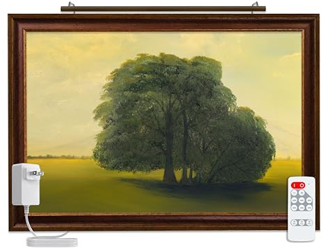 Situ Lighting: Plug-in Vision Series Remote Controlled LED Art and Picture Light - USA Made - 2700K.