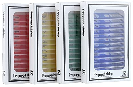 BOJACK 48Pcs Microscopio Preparado Diapositivas Especímenes Animales Insectos Plantas Flores Muestra Espécimen Biológico, Microscopio Estéreo Diapositiva para Niños Niños Estudiantes Ilumina Educació