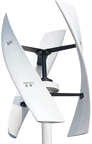 3000W 12V-220V Aerogenerador, Generador De Turbina EóLica, LevitacióN MagnéTica Permanente Con Controlador, Molino De Viento DoméStico Para Terraza, Marina, Casa Rodante, Chalet, Barco (24V)