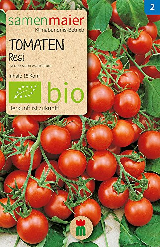 BIO Tomaten Resi Samen - Robuste und aromatische Cocktailtomaten - Resistenter Anbau für Garten und Balkon - 15 Korn - Samen Maier