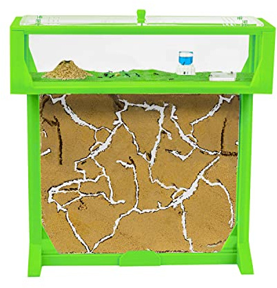 AntHouse.es - Hormiguero Natural de Arena | Kit 3D T Big 25x20x1,5 cm | Granja de Hormigas Verde | Colonia de Hormigas Incluida