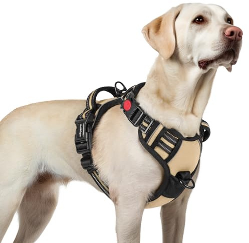 rabbitgoo Hundegeschirr Grosse Hunde Leichtes Anlegen, L, Beige | Anti Zug, Ohne Kopfdurchzug, Halsverschluss mit Sicherung, 2 D-Ringe, Weich Gepolstert, Reflektierend für Gassi & Training