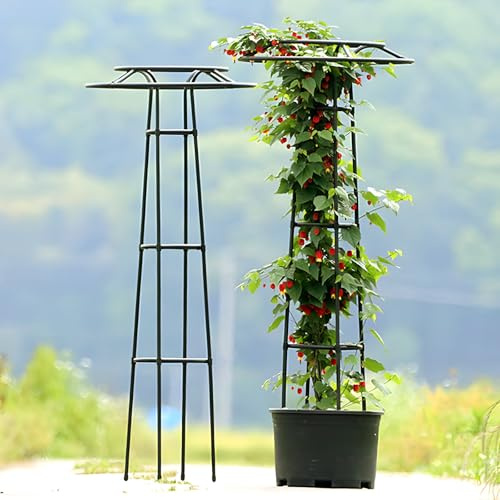 Support de parasol en treillis de jardin pour plantes grimpantes – Tour de vigne noire de 1,1 m pour fleurs, légumes, tomates, concombres – Support pour plantes surélevées