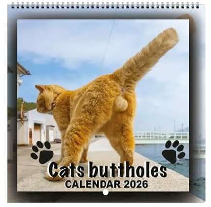 Calendario Da Parete 2026 Agenda Mensile
