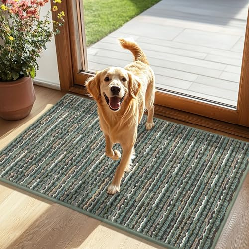 Biscpro Fußmatte für den Innenbereich, 60 x 90 cm, rutschfest, waschbar, Türmatte, für Durchgang, Flur, Küche, Terrasse, Garten, Schlafzimmer, Grün