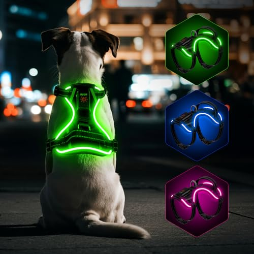 YFbrite Leuchtendes Hundegeschirr mit Batterieanzeige, Typ-C wiederaufladbar, RGB-LED-Geschirre (Blau, Grün, Pink), verstellbar für alle Hunde, Sicherheit beim nächtlichen Spazierengehen (Schwarz, S)