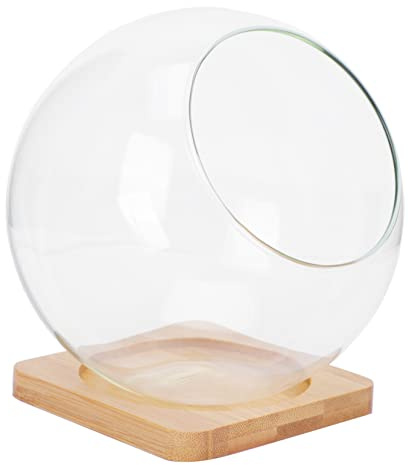 TOYANDONA Glass Succulent Vase and Moss Flowerpot Set Slanted Opening, 13.5x13.5cm Round Micro Landscape Bottle Bamboo Mat, Decorative Home Organizer and Storage Holder for Plants
