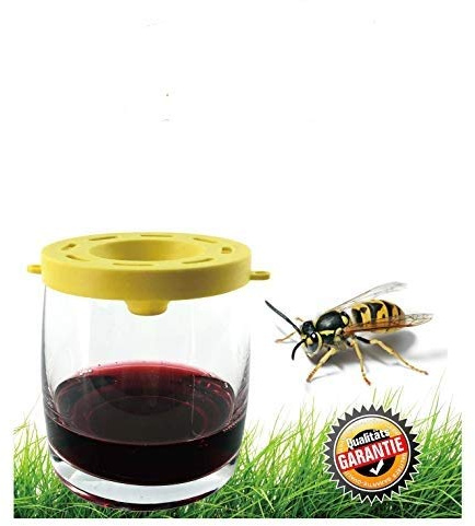 Top Ten Wespenfalle für Trinkglas, Falle für Glas 7,5 cm, 6 Stück