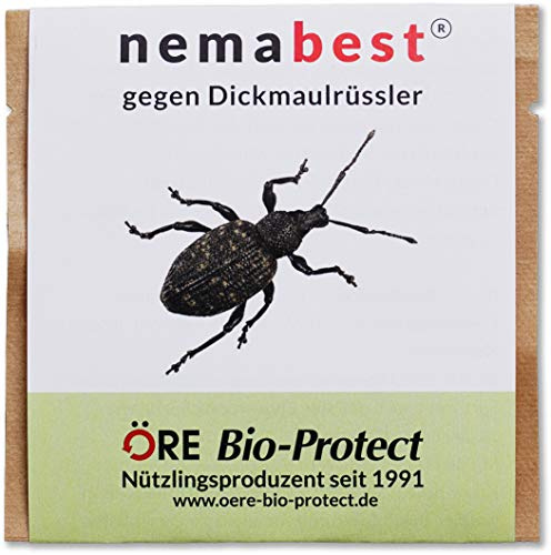 nemabest® HB Nematoden zur Bekämpfung des Dickmaulrüsslers - 25 Mio. für 50m²