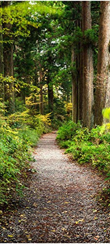 wandmotiv24 Türtapete Wander-weg in altem Wald, Bäume, Natur 80 x 200cm (B x H) - Dekorfolie selbstklebend Sticker für Türen, Türfolie, Aufkleber, M1131