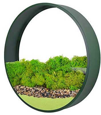 Wandvase, runder Wand-Pflanzgefäß aus Metall, Wandmontage, hängender Blumentopf, Pflanzenhalter, moderne Wanddekoration, Kunst für Balkon, Garten, Pflanzen von Luftpflanzen, Trockenblumen, Sukkulenten