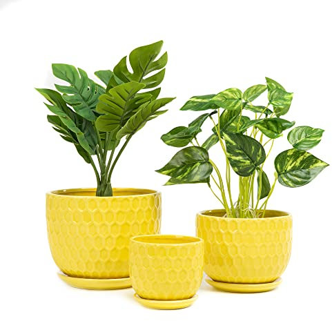 Nattol Yellow Ceramic Flower Pots with Saucers, Modern Round Ceramic Succulent Plant Pots with Honeycomb Inspired Texture Design, Small to Medium Sized, Set of 3