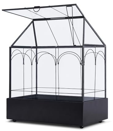 lesolar Terrarium en verre avec couvercle et plateau de 24 x 14 x 29 cm - Terrarium de jardin géométrique en verre pour plantes d'intérieur - Mini serre de table, orchidées, cactus