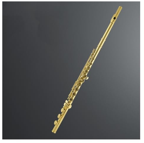 Querflöte Gold 16 Geschlossenes Loch 17 Offenes Loch Flöte C-Taste Professionelles Performance-Instrument Für Erwachsene(17Open-cell)