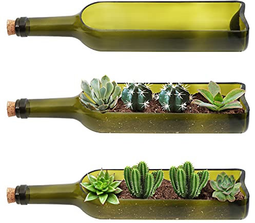 BELLE VOUS 3er Pack Glas Weinflasche Sukkulente Blumenkasten Vintage Blumentopf - L32 x B7,1 cm Ovaler Ausschnitt - Vintage Deko Für Pflanzen, Blumen, Kakteen, Bambus, Garten, Terrarium & DIY-Deko