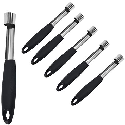 Edelstahl Apfelausstecher,6 Stück Apple Core Remover Apfelentkerner Entferner Apfelstecher mit Ergonomischem Griff ideal für Äpfel Birnen und anderes Obst Zuhause und Restaurant(19.3cm)