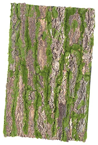 POPETPOP Rindenmatte Für Reptilien Baumrinde Klettermöglichkeit Für Terrarien Rinde Dekoration Für Zuchtkäfig Naturmaterial Für Schildkröten Und Eidechsen Kletterrinde Für Geckos Und Bartag