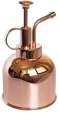 LIANSHI Spruzzatore per piante in acciaio inossidabile, piccolo annaffiatoio per piante, moderni attrezzi da giardinaggio per irrigazione e spruzzatura di piante in vaso (0.3L/Oro rosa)