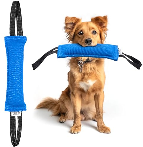 Yes4Quality - Giocattolo da mordere per cani - 30x9 cm, blu - Giocattolo da tirare resistente con 2 maniglie robuste - Robusto cuscino da mordere in nylon per cani di taglia piccola e media