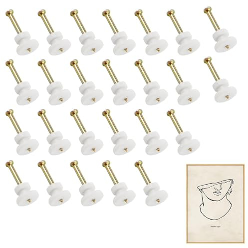 MNYXIS 25 Piezas Ganchos para Cuadros de Pared, Colgar Cuadros sin Hacer Agujeros, Ganchos Invisibles Blancos para Fotos, Pinturas, Relojes y Espejos