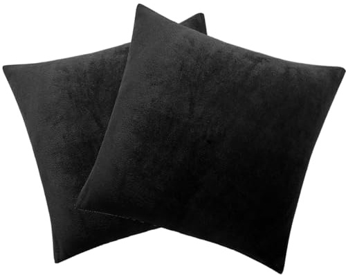 Soifox 2er-Set Kissenbezug 40x40 cm - Samt Zierkissenbezüge Superweich Flauschig Kuschelig Kissenbezüge Dekorative Deko Kissen Sofakissen Lendenkissen Wurfkissenbezug Schlafzimmer Kissenhülle Schwarz