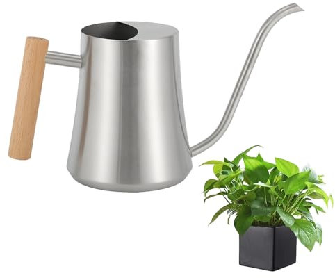 DECARETA 1L Gießkanne Indoor Edelstahl Klein für Zimmerpflanzen Sukkulenten - Mini Silber Gartengießkanne Blumengießkanne 34Oz