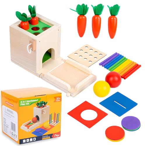 lcvtos Giochi Montessori 4 in 1, Giocattolo Goccia Palla, Scatola Monete, Giocattolo Raccolta Carote, Giocattolo Educativo Sensoriale Compatto, Regali per Ragazzi e Ragazze 2 3 4 Anni