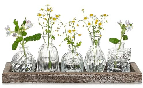 Glasseam Glass Vase for Living Room: 5 Clear Bud Vases with Wooden Tray for Home Office Wedding Table Centrepiece - Elegant Small Flower Vase Set for Birthdays Anniversaries Housewarming Gifts