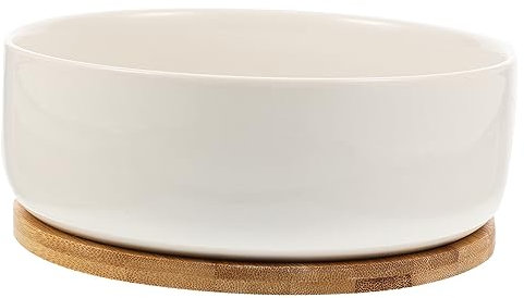 Toddmomy Vaso da fiori in ceramica per interni Mini vaso ciotola fioriera per piante grasse vasi per piante d'appartamento piccoli vasi per bonsai divertenti vasi in ceramica vaso per bonsai bianco