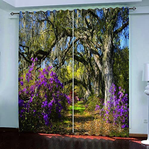 Vorhang, Kinderzimmer, 3D Dschungel-Ölgemälde 170 (B) X 200 (H) cm Kindervorhänge Mit Ösen, Polyestervorhänge, Wärmeschutzvorhang, Blickdichter Vorhang Mit Ösen, Kindervorhänge Für Wohnzimmer, Schlaf