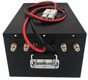 WILLQ 48V 100AH 150AH 200AH Lithium Iron Phosphate Battery 48 Volts LiFePO4 Battery 3000 Cycles Lithium Ion Battery Pack Built-in BMS Rechargeable Battery,48V200Ah