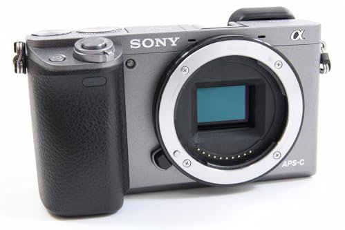 Sony Alpha 6000 Systemkamera (24 Megapixel, 7,6 cm (3 Zoll) LCD-Display, Exmor APS-C Sensor, Full-HD, High Speed Hybrid AF) graphit-grau