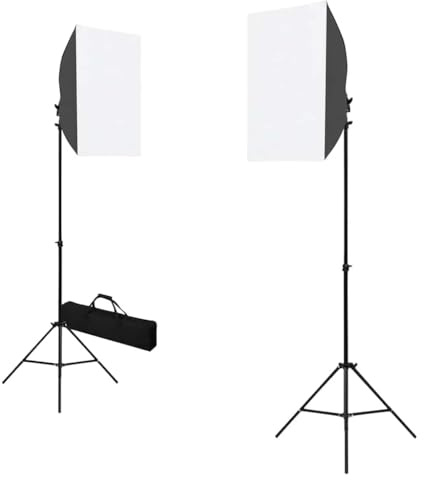 vidaXL 2X Lámparas de Estudio Profesional Acero Fotografía Imagen Estudio Laboratorio Fotográfico Iluminación Claridad Luz Flashes 40x60 cm Negro