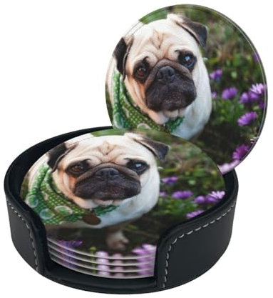 (Dod in the garden) Round Leather Drink Coasters Set of 6 with Holder, Stylish Coaster Set for Coffee Bar Home Office Decor