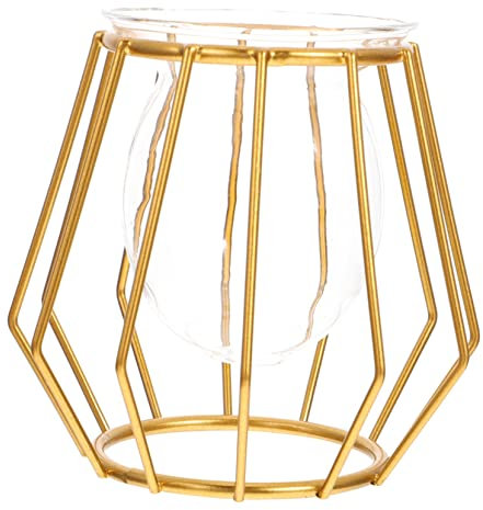 MAGICLULU Hydroponische Tischvase Geometrischem Eisenrahmen Umweltfreundlich Praktisch Transparent Stilvolles Pflanzgefäß Für Zimmerpflanzen Und Dekoration Büro Wohnzimmer