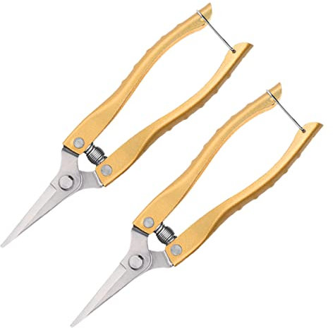 KITANDOVE 2pezzi Cesoie Da Giardino Professionali Acciaio Inossidabile Forbici Ergonomiche Antiscivolo Per Potatura Fiori E Piante Utensili Da Giardinaggio Resistenti E Facili Da Usare