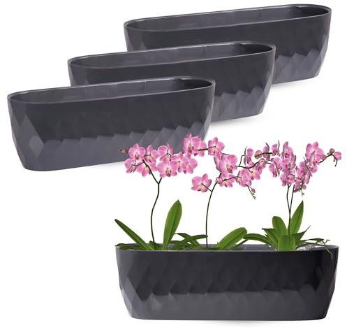 OMAGO® Ensemble de 3 Cache-Pots allongés pour orchidées avec Socle, élégants Pots ovales pour l'intérieur, Cache-Pots décoratifs pour orchidées et Plantes d'intérieur