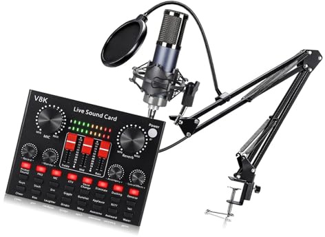 LLINthy Set di schede audio con microfono a condensatore, tipo C in tempo reale, professionale, per streaming podcasting, uso microfono a condensatore